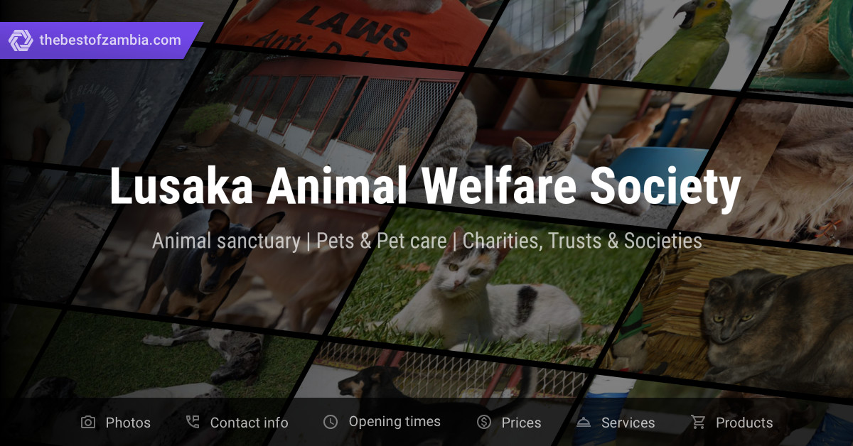 Lusaka Animal Welfare Society Animal sanctuary, Pets & Pet care in